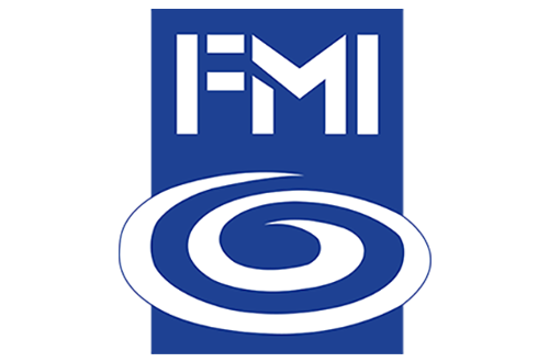 FMI Manufacturing Logo